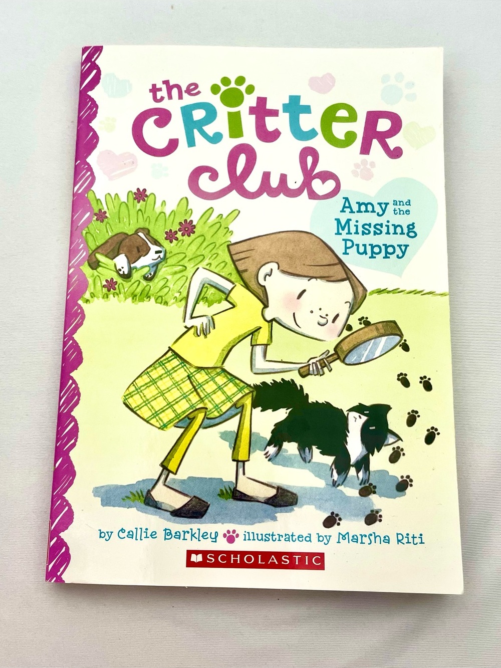 The Critter Club Scholastic Book 1